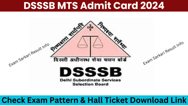 DSSSB MTS Admit Card 2024